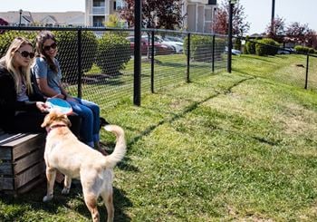 Dog park